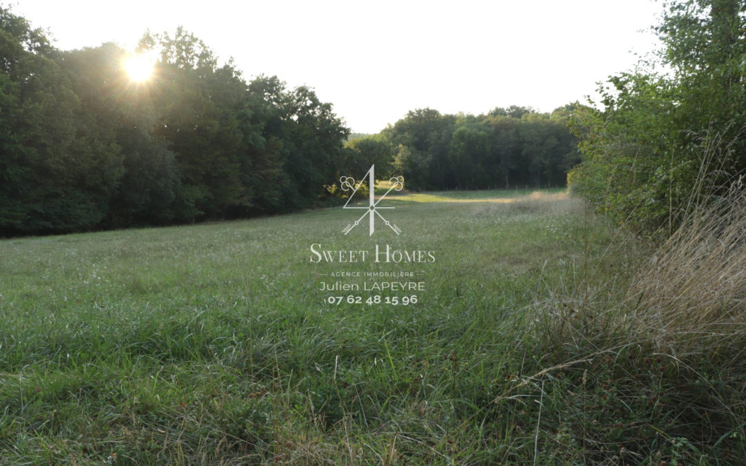 5 Terrains viabilisés